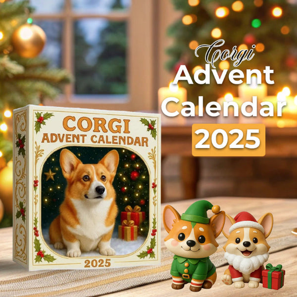 Corgi | Julekalender 2025